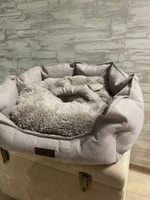 Лежанка для собак мелких пород, лежак со съемной подушкой для животных, размер ( 60х50х20 ), рогожка, LionPets #50, Татьяна М.