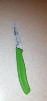 Универсальный кухонный нож для резки и чистки VICTORINOX 6.7706.L114 лезвие 10 см #3, Олег А.