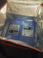 Термосумка, сумка холодильник Airline ATK05, 40 л, c аккумулятором холода (2 шт) 40х32х32 см #28, Максим Т.