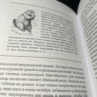 Томек среди охотников за человеческими головами | Шклярский Альфред #5, Анастасия