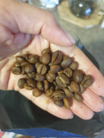 Кофе в зернах Alta Roma Vero, арабика, робуста, 1кг #87, Губайдуллина Дарья