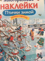 Птички зимой. Многоразовые наклейки | Александрова Ольга Викторовна #4, Елена