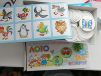 Детское пластиковое лото "Мир вокруг" маленькое, развивающая настольная игра, 48 пластмассовых фишек + 8 тематических карточек #6, Анастасия М.