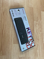 Клавиатура проводная USB Defender Office HB-910 RU, полноразмерная #163, Андрей Кравченко