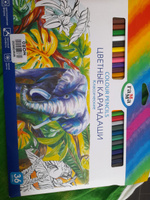 Набор цветных карандашей для рисования Гамма "Классические", 36 цветов, заточен., картон. упаковка, европодвес #188, Алена С.