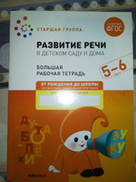 Развитие речи в детском саду и дома 5+. ФГОС. Большие рабочие тетради для развития и обучения дошкольников 5-6 лет. Подготовка детей к школе. ОТ РОЖДЕНИЯ ДО ШКОЛЫ. 1 / 5 / 25 одинаковых тетрадей | Денисова Дарья, Дорофеева А. М. #2, Юлия Б.