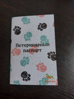 Ветеринарный паспорт международный для собак / кошек #6, Анна К.