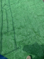 Prettie Grass Газон искусственный,4х2м #43, Ольга Я.