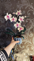 Конструктор Цветы Орхидея 608 деталей #116, Марина Р.