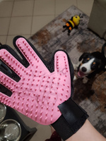 Перчатка для вычесывания шерсти кошек STEFAN, розовый, PMG-1201PNK #80, Яна Р.