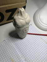 Пластилин скульптурный художественный модельный для лепки Гамма "Студия", белый, твердый, 1кг, пакет #10, Андрей Р.