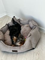 Лежанка для собак мелких пород, лежак со съемной подушкой для животных, размер ( 60х50х20 ), рогожка, LionPets #51, Ирина А.
