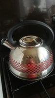 Чайник Kelli KL-4300 нержавеющая сталь со светоиндикацией нагрева 3л #5, Юлия