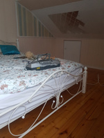 Двуспальная кровать Фортуна 160х200 см/Каркас белый металл/ Ножки массив берёзы, белый #8, Елена А.