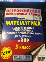 Математика. Большой сборник тренировочных вариантов проверочных работ для подготовки к ВПР. 5 класс | Воробьев Василий Васильевич #20, Лидия Б.