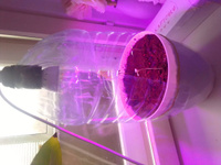 Светодиодная лампа, фитолампа E27 для выращивания комнатных и домашних растений, цветов, рассады на подоконнике, 3.5 Вт #35, Алексей С.