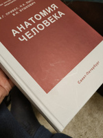 Анатомия человека. Привес М.Г. | Привес Михаил Григорьевич, Лысенков Николай Константинович #7, Erki T.