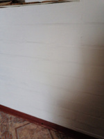 Белая матовая акриловая краска для печей и каминов термостойкая (1,5 кг / 1,0 л / до 10 м2) #7, Сергей З.