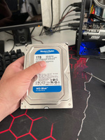 Western Digital 1 ТБ Внутренний жесткий диск Blue 3.5" 7200 (WD10EZEX)  #138, Маркарян А.