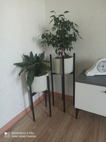 Подставка для цветов и растений черная напольная металлическая, квадрат, h-70см #105, Оксана В.