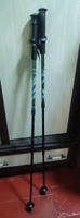 Палки для скандинавской ходьбы всесезонные ECOS Nordic Walking sticks алюминиевые, телескопические с ремешком, 3 секции, черные (светло-голубые полосы) #8, Елизавета Ч.