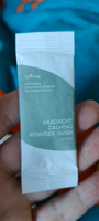 IsNtree Энзимная пудра с экстрактом полыни для проблемной кожи Mugwort Calming Powder Wash (1г. x 10шт.) #4, Диана