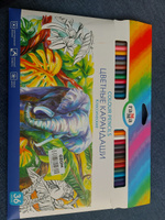 Набор цветных карандашей для рисования Гамма "Классические", 36 цветов, заточен., картон. упаковка, европодвес #97, Светлана А.