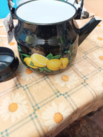 Чайник 3,5 литра для плиты эмалированный #20, Ольга Т.