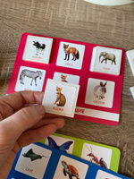 Детское развивающее лото "Мир животных", игровой набор из 24 пластиковых фишек + 4 игровых поля-карточки, по методике Г. Домана #5, Елена Г.