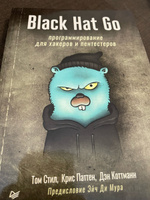Black Hat Go: Программирование для хакеров и пентестеров | Стил Том, Паттен Крис #5, Владимир М.