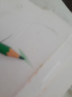 Набор цветных карандашей для рисования Гамма "Классические", 36 цветов, заточен., картон. упаковка, европодвес #191, Алена С.