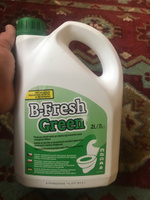 Жидкость для биотуалета нижний бак THETFORD B-Fresh Green 2 л (30537BJ) #29, Ирина С.