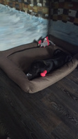 Лежанка для собак со съемным чехлом, для крупных и средних пород, размер ХL 120х90 см, лежак большой #74, Татьяна Ж.