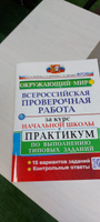 ВПР за курс начальной школы. Окружающий мир. Практикум. ФГОС | Волкова Елена Васильевна, Цитович Галина Ивановна #5, Владислав А.