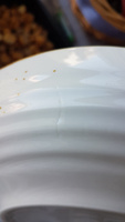 Тарелка глубокая фарфоровая для подачи и сервировки Magistro "Церера", цвет белый, 1,1 л, диаметр 22 см #20, Надежда Ч.