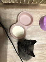 Двойная миска для кошек, для собак DD Style / Пластиковая миска для воды и корма, пепельно-розовый, 2 х 350 мл #113, Алена К.
