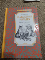 Волшебное кольцо. Сказки и рассказы | Платонов Андрей Платонович #5, Светлана К.