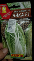 Капуста Пекинская Ника 75 дней, хранение до 3 месяцев #40, Лариса Г.