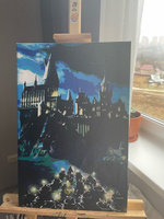Картина по номерам Z-626 "Гарри Поттер. Хогвартс" 40x60 #38, Ксения И.