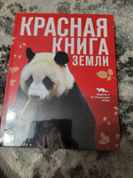 Красная книга Земли (новое оформление) | Скалдина Оксана Валерьевна, Слиж Евгений Александрович #7, Любовь В.