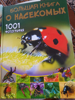 Большая книга о насекомых. 1001 фотография | Спектор Анна Артуровна #6, Анна С.