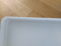 Поднос Ар-Пласт прямоугольный малый 43х25 см, белый #6, Елена С.