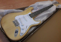 Электрогитара (Stratocaster) Jordani ST100 Beige #20, Денис