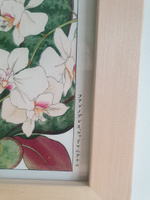 Интерьерные постеры 21х30 см, набор 4 шт "Цветы. Японская гравюра", (без рамок) / картины для интерьера #19, Екатерина М.