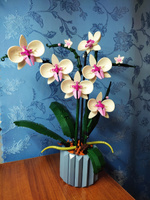 Конструктор Цветы Орхидея 608 деталей #106, Юлия П.