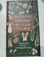 Лесной гид: грибы, ягоды, травы. Карманный атлас-определитель | Семенова Людмила Семеновна #3, Виктория М.