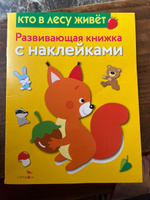 Кто в лесу живет. Развивающая книжка с наклейками | Шарикова Е. #8, Татьяна С.