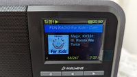 Интернет радио Melwins MA-330D (Работа от аккумулятора, Wi-Fi, FM, DAB, Bluetooth, цветной дисплей, выход на наушник, пульт) #7, LTony