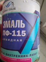 Эмаль белая ПФ 115 Gamma Color 0,8 кг Царицынские краски #20, .