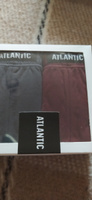 Комплект трусов слипы Atlantic, 3 шт #72, Жанна Ж.
